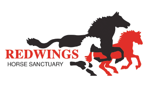 Redwings logo